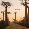 Download track Sunset