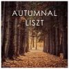 Download track Piano Concerto No. 2 In A, S. 125: 2. Allegro Agitato Assai