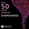 Download track Symphony No. 1 In D Major 