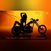 Download track Diamonds Never Made A Lady