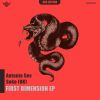 Download track First Dimension
