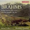 Download track 02. String Quartet No. 2 In A Minor, Op. 51, No. 2 II. Andante Moderato