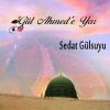 Download track Gül Ahmede Yar