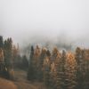 Download track A Light Rain