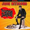 Download track The Lonely Surfer