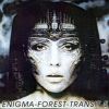 Download track Im Nin Alu