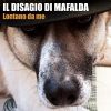 Download track Orientale