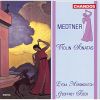 Download track Violin Sonata No. 2 In G Major, Op. 44: IIf. Variation 5: Allegro Molto