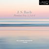 Download track Partita No. 1 In B-Flat Major, BWV 825: V. Menuett I'