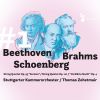 Download track String Quintet No. 2 In G Major, Op. 111: II. Adagio