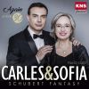 Download track Variations On A Theme By Haydn In B-Flat Major, Op. 56b III. Variation II. Più Vivace. Vivace