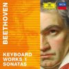Download track 14. Sonata No. 32 In C Op. 111: I. Maestoso - Allegro Con Brio Ed Appassionato