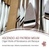 Download track 20. Toccata In D Minor, BuxWV 155