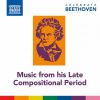 Download track String Quintet No. 3 In C Minor, Op. 104: IV. Finale. Prestissimo