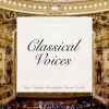 Download track Magnificat In D Major, BWV 243: IV. Omnes Generationes