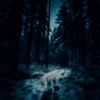 Download track I Remember Everything