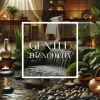 Download track Relaxing Music For Spa