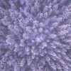 Download track The View From Up Front