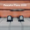 Download track Neverland - Piano Variation In Blue (Finding Neverland-Soundtrack Version)