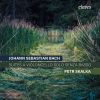 Download track Suite No. 2 In D Minor BWV 1008 II. Allemande