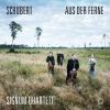 Download track 08. Die Götter Griechenlands, D. 677 (Arr. X. Van Dijk For String Quartet)