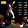 Download track 04. Nielsen: Symphony No. 5, Op. 50 - II. 4. Presto - Andante Un Poco Tranquillo - Allegro