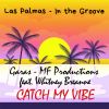 Download track Catch My Vibe (Radio Edit)