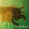 Download track Desconocido