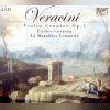 Download track Sonata No. 7 In A Flat Major - 2. Larghetto