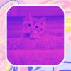 Download track Modish Ambience For Home With Cats