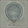 Download track Another Dimension