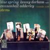 Download track Blue Spring