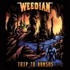 Download track The Fallen