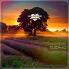Download track Den Shender - What Is Underground
