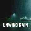 Download track Raining In