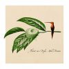 Download track Simple Joy