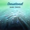 Download track Blissful Sunrise