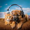 Download track Deep Calming Patterns
