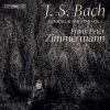 Download track Bach Violin Partita No. 2 In D Minor, BWV 1004 II. Courante