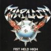 Download track Destructor