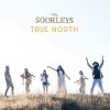 Download track Springtime, Again