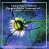 Download track 12. II. Allegro