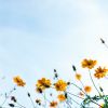 Download track Spring Day