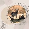 Download track Beautiful Ambience For Daily Unwinding