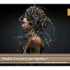 Download track 12. Concerto RV 488 In Fa Maggiore: 3. [Senza Indicazione Di Tempo]