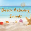 Download track Collecting Shells
