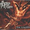 Download track Wisdom Of The Dead