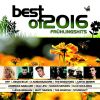 Download track Stimme