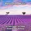 Download track Relaxing Music For Kids And Adults