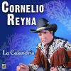 Download track Dale Un Beso A Mi Amigo